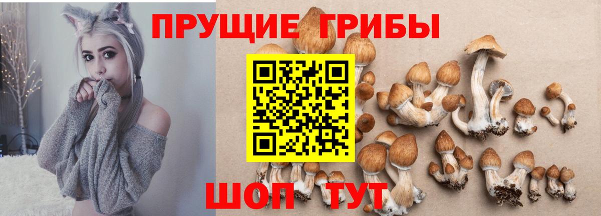 Псилоцибиновые грибы Psilocybe  Вход с VPN  Галлюциногенные грибы Cubensis  Холмск 